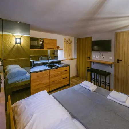 Tatrzańska Miejscówka - Centrum Hotel apartamentowy Zakopane
